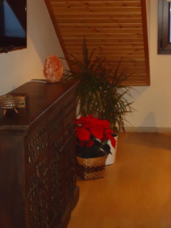 איוס אנטאנאסיוס Petralona Apartment מראה חיצוני תמונה